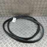 Türdichtungsgummi hinten links VW AMAROK (2H_, S1B) 3.0 TDI 4motion 2H7839911H