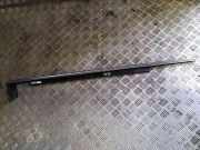 Fensterleiste Tür vorne rechts