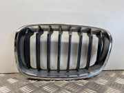 Vorderer oberer Gitter BMW 1 (F21) 125 d