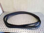 Dichtung für Koffer-/Laderaumklappe Ford Focus IV (HN)