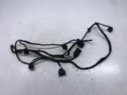 Kabelbaum Audi A4 Avant (8E, B7) 8E0971095S