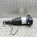 pneumatischer Stoßdämpfer hinten rechts BMW X7 (G07) xDrive 40 i Mild Hydrid 7831561 5B69E34