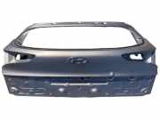 Heckklappe geschlossen Hyundai Tucson III (TL, TLE)