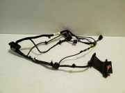 Kabel Tür vorne rechts VW EOS (1F7, 1F8) 2.0 TFSI 1Q0971120P