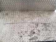 Dachleiste links SEAT EXEO ST (3R5) 2.0 TDI