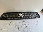 Vorderer oberer Gitter TOYOTA RAV 4 II (_A2_) 2.0 D-4D 4WD (CLA20_, CLA21_) 5311142070 0842342130