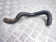 Schlauch Kühlung HYUNDAI i20 (PB, PBT) 1.2