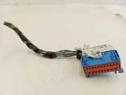 Kabelbaum LAND ROVER DISCOVERY V (L462) 2.0 D 4x4