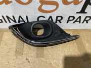 Rahmen für Nebelscheinwerfer Renault Scenic IV (J9) 620874759R