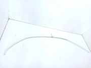 Dachleiste links MERCEDES-BENZ C (W204) C 220 CDI (204.002)