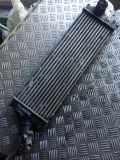 Ladeluftkühler NISSAN PRIMASTAR Furgon (X83) 2.0 dCi 115