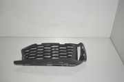 Gitter BMW 5 (G30) M 550 i xDrive 51118063422 8063422