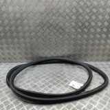 Türdichtungsgummi vorne links OPEL VIVARO C 2.0 9806514880