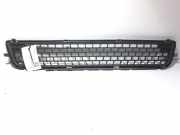 Gitter vorne unten VOLVO V70 III (BW) 2.5 T FlexiFuel 30763113