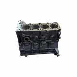 Motorblock MAZDA 3 Sedan (BL) 1.6 MZR CD R2AA