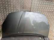 Motorhaube Toyota Corolla Verso (R1)