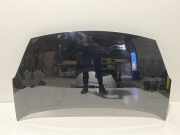 Motorhaube Peugeot Partner II Tepee ()