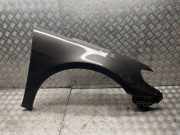 Kotflügel rechts vorne VW Passat B6 CC (357)