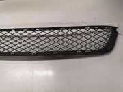 Gitter vorne unten BMW X5 (E70) xDrive 30 d 51117222849