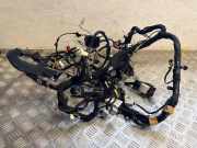 Kabelbaum Ford EcoSport () KN1514401