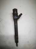 Einspritzdüse VOLVO S80 II (AS) 2.4 D 0445110298