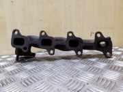 Auspuffkrümmer Toyota Corolla Verso (R1)