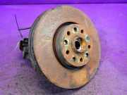 Radnabe hinten VW Passat B6 CC (357)