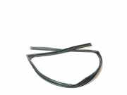 Türgummi links vorne Hyundai iX35 (LM)