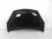 Motorhaube CITROËN XSARA PICASSO (N68) 2.0 HDi