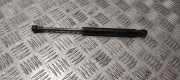 Heckklappe Gasdruckfeder links MERCEDES-BENZ CLS (C218) CLS 350 CDI (218.323) A2189800264