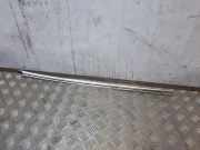 Zierleiste Windschutzscheibe Frontscheibe MERCEDES-BENZ E Cabrio (A207) E 500 (207.473) A2076730883