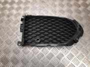 Gitter JAGUAR F-PACE (X761) 3.0 AWD HK8M8B289BA