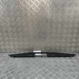Kennzeichenbeleuchtung Verkleidung MERCEDES-BENZ E (W213) E 220 d 4-matic (213.005) A2137500000