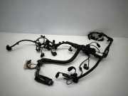 Motor Kabelbaum BMW 3 Touring (F31) 320 d 850789808