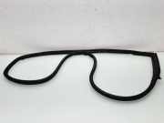 Türgummi links vorne BMW 1er (F21) 15310510