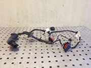 Türverkabelung hinten rechts