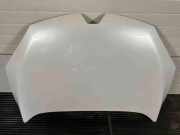 Motorhaube RENAULT MEGANE III Hatchback (BZ0_) 1.5 dCi (BZ09, BZ0D)