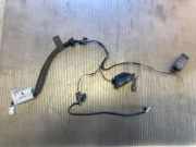Kennzeichenbeleuchtung NISSAN QASHQAI / QASHQAI +2 I (J10, JJ10) 1.5 dCi 24055EY10A