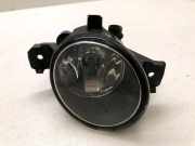 Nebelscheinwerfer vorne rechts RENAULT MASTER III Furgon (FV) 2.3 dCi 100 FWD (FV0A, FV0B, FV0G, FV0K) 89210439