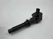 Zündspule JAGUAR F-PACE (X761) 2.0 AWD H4P312A366BB