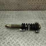 Stoßdämpfer hinten rechts FERRARI CALIFORNIA 4.3 462400005096 247209