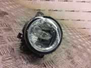 Nebelscheinwerfer rechts vorne Ford EcoSport () 3B515B243AA