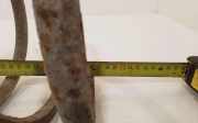 Feder vorne links PEUGEOT 806 (221) 1.8