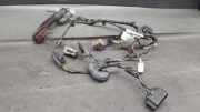 Kabel Tür Ford Focus C-Max (DM2) 981548108