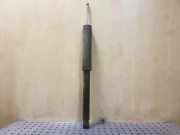 Stoßdämpfer hinten links