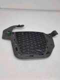 Kühlergrill unten Land Rover Range Rover Evoque I (L538) GJ3215A298BE