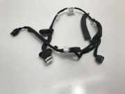 Türverkabelung hinten rechts