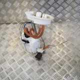 Kraftstofftankpumpe BMW 3 Gran Turismo (F34) 320 d 7243972 0580204019