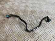 Bremsschlauch links vorne Renault Kangoo II Rapid (FW0)