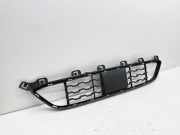 Gitter BMW X6 (F16, F86) xDrive 40 d 8056522